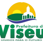 logo_viseu_png